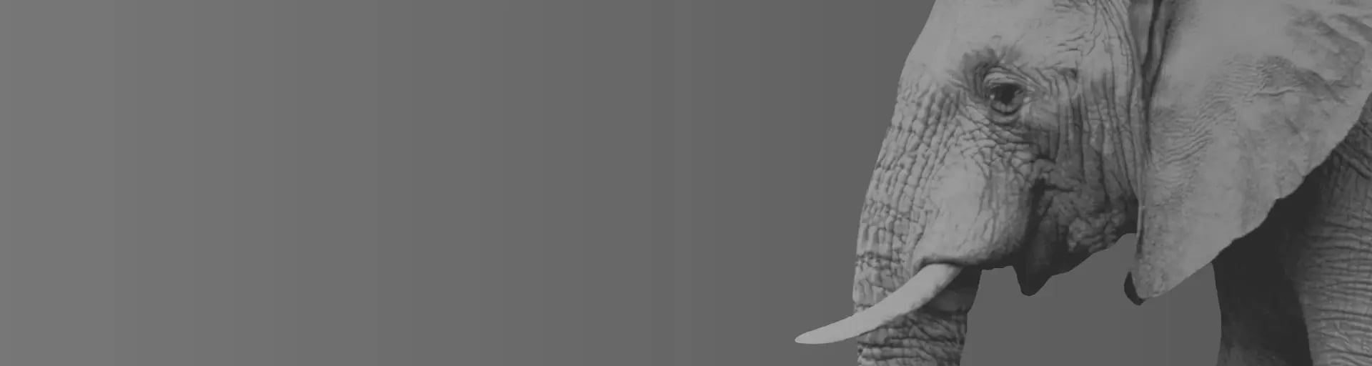 hero_bg